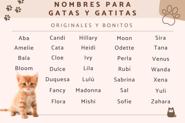 1000 Nombres para Gatos Hembra