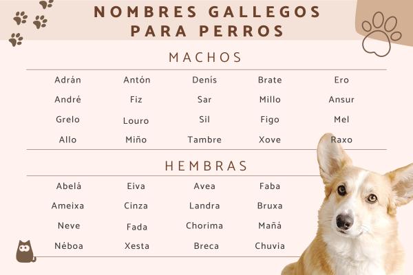 200 Nombres para Perros