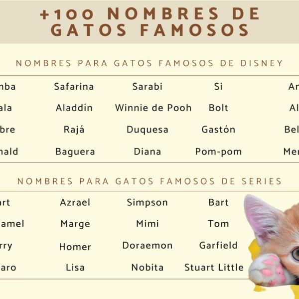Los mejores Gato famoso nombres par gatos