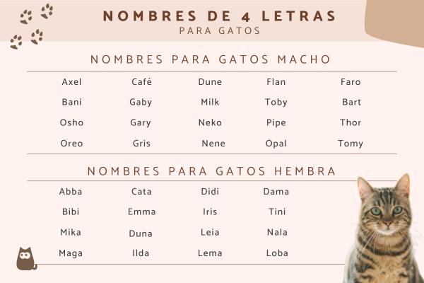 Lista de Generador de nombres para gatos