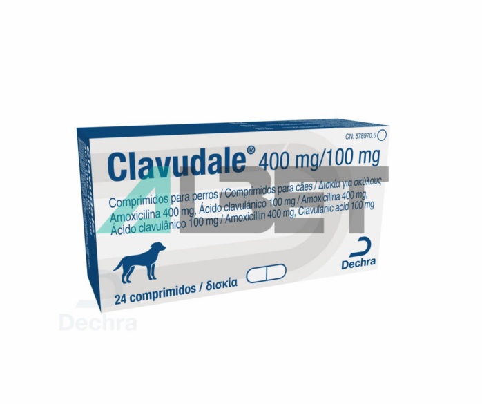 Nombre de Antibióticos para Perros