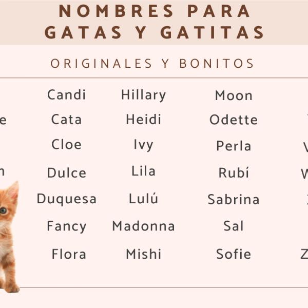 Lista de Nombre de nena para gatos