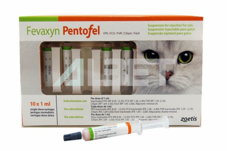 Los mejores Nombre de vacunas para gatos