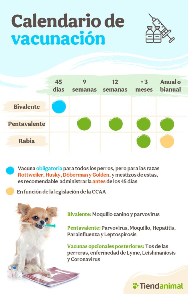 Nombre de Vacunas para Perros