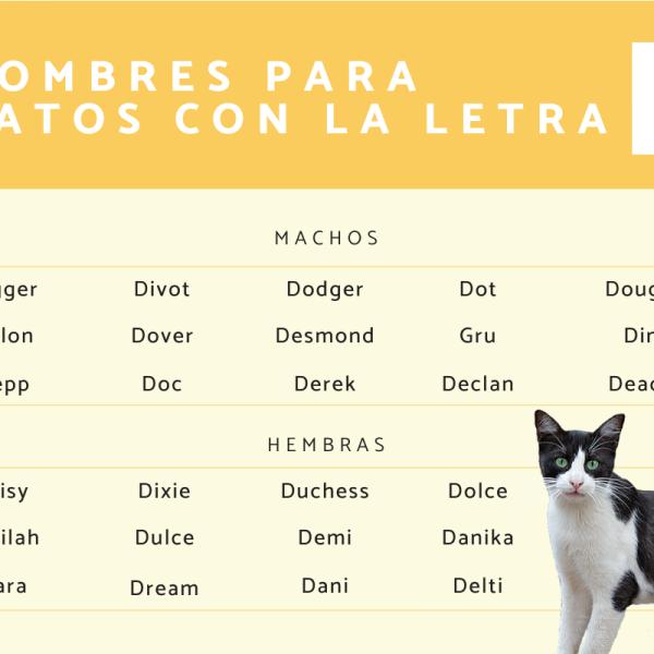 Lista de Nombre para gato macho negro y blanco