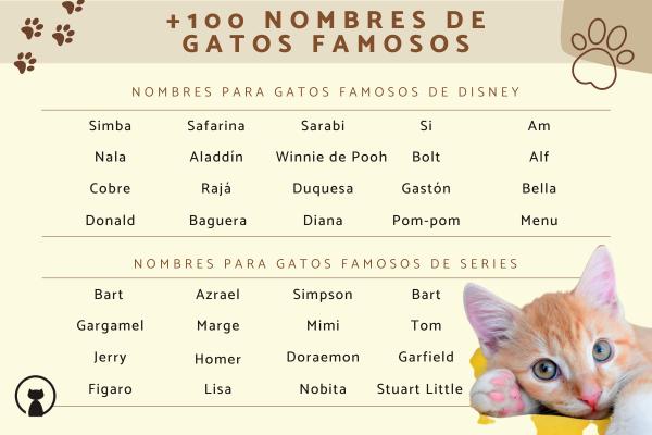 Nombre para Parejas de Gatos