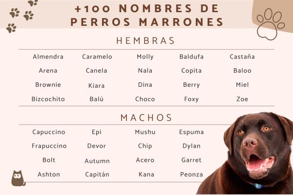 Nombre para Perros Café