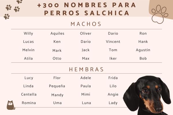 Nombre para Perros Salchicha Hembra