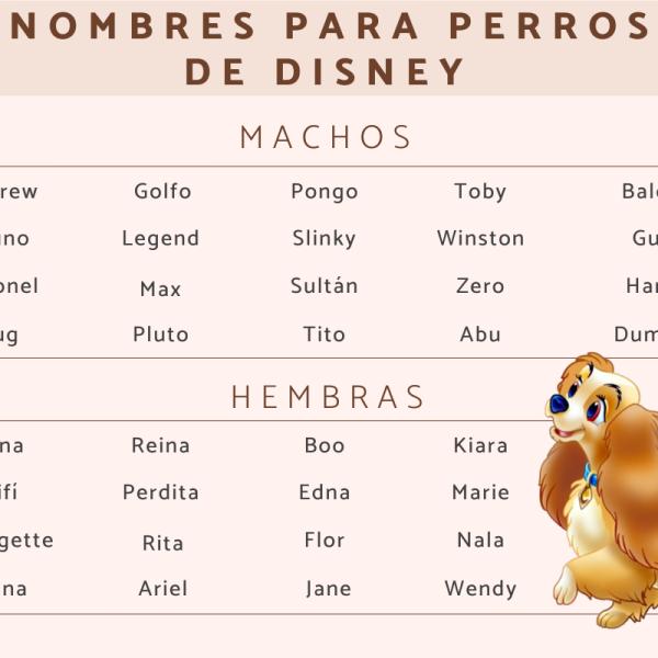 Nombre para Perros de Caricaturas