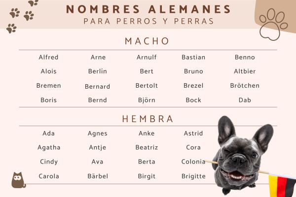Nombres Alemanes para Perros Machos