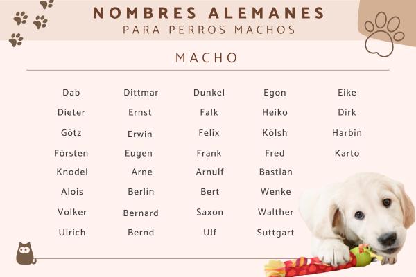 Nombres Alemanes para Perros Schnauzer