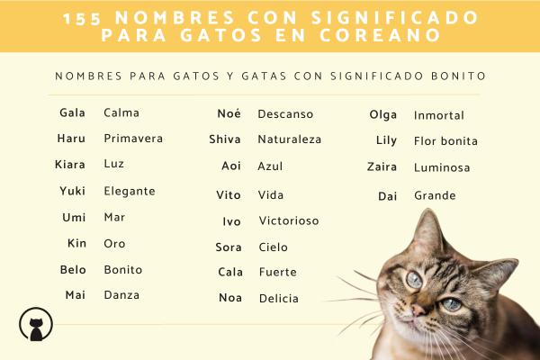 Nombres Bíblicos para Gatos