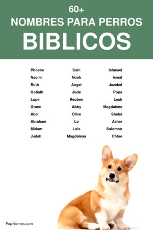 Nombres Bíblicos para Perros Machos