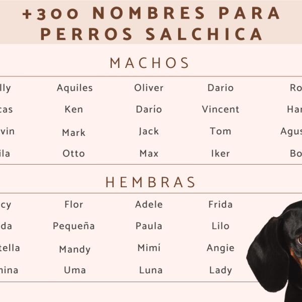Nombres Brasileños para Perros Machos