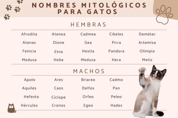 Lista de Nombres budistas para gatos