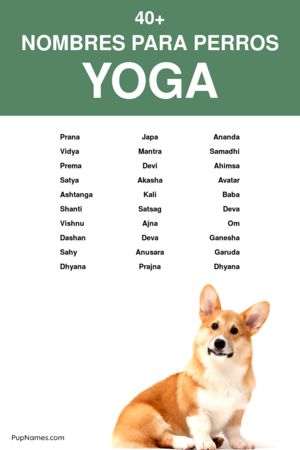 Nombres Budistas para Perros