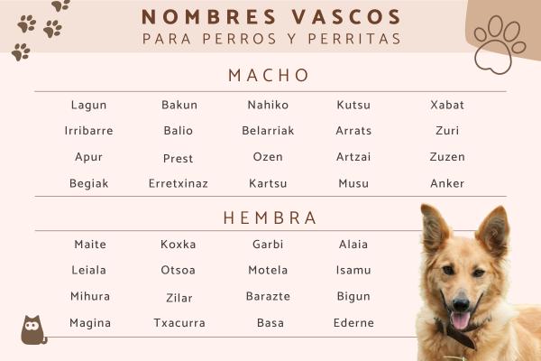 Nombres Catalanes para Perros