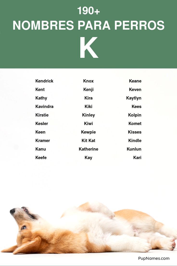 Nombres con K para Perras