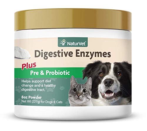 Nombres de Probioticos para Perros
