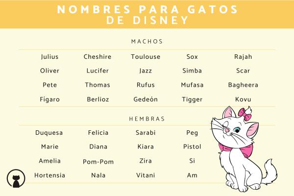 Los mejores Nombres de animales de disney para gatos