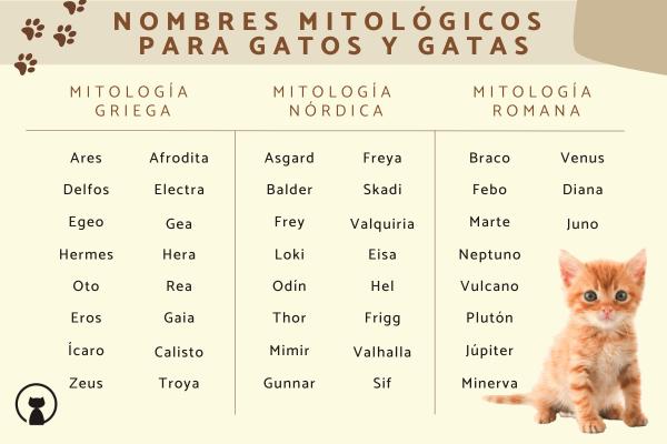 Nombres de Ciudades para Gatas