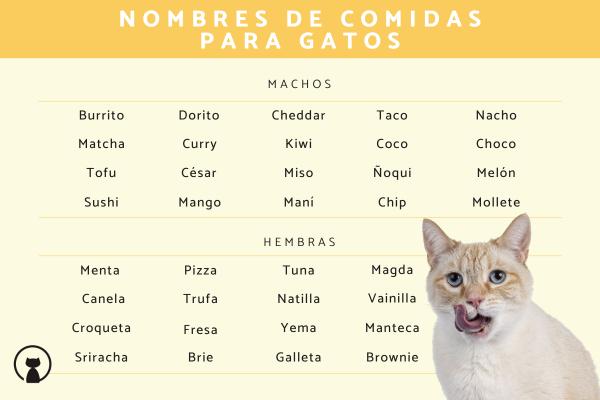 Nombres de Comida para Gatos