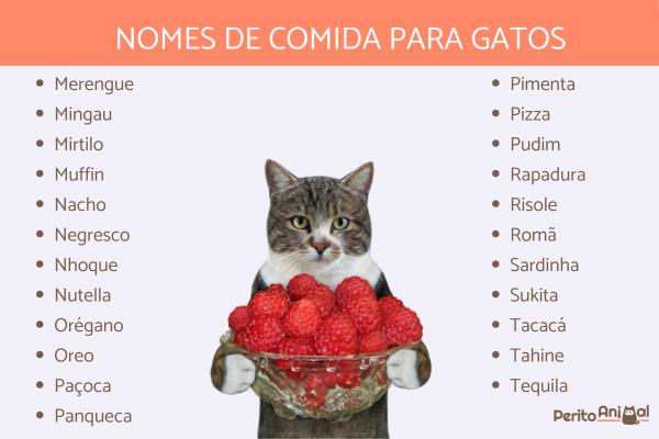 Los mejores Nombres de comida para gatos