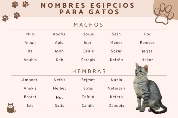 Nombres de Dioses Egipcios para Gatos
