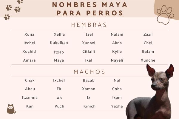 Nombres de Dioses Mayas para Perros