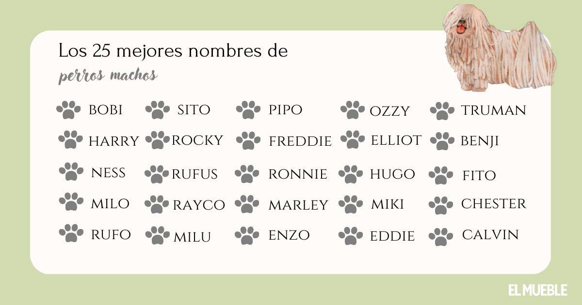 Nombres de Dos Sílabas para Perros