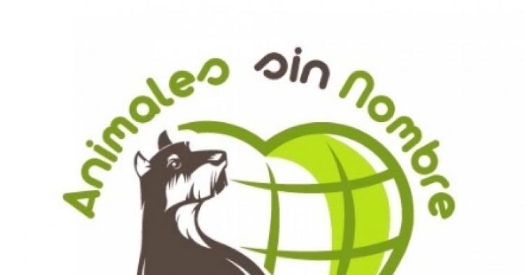 Nombres de Fundaciones para Perros de la Calle