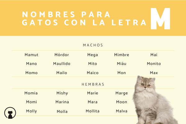 Los mejores Nombres de marcas para gatos