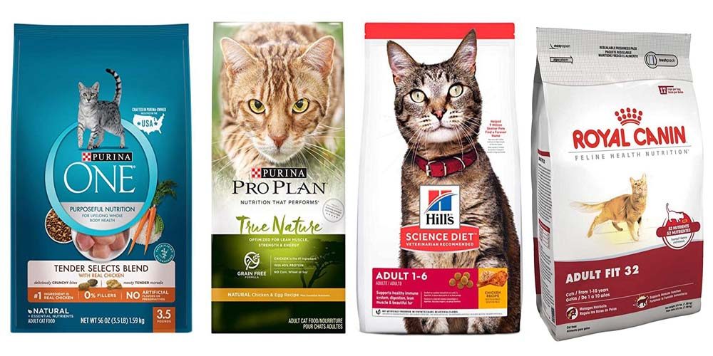 Lista de Nombres de marcas para gatos