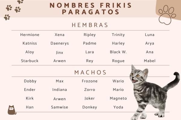 Nombres de Marvel para Gatos
