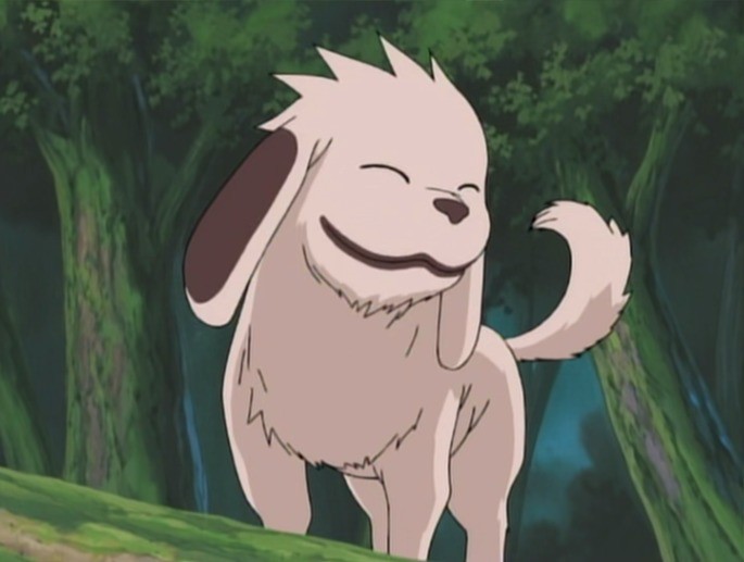 Nombres de One Piece para Perros