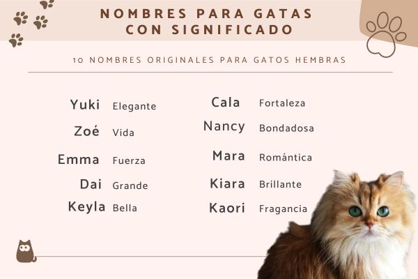 Nombres de Países para Gatos