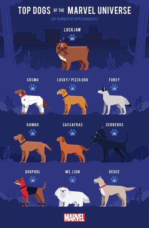 Nombres de Personajes de Marvel para Perros