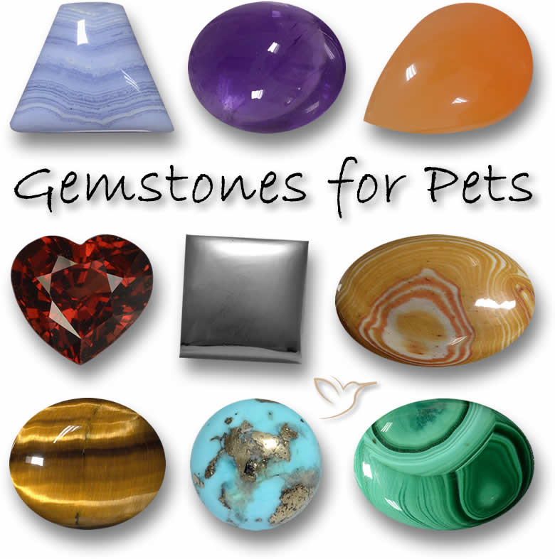 Nombres de Piedras para Perros