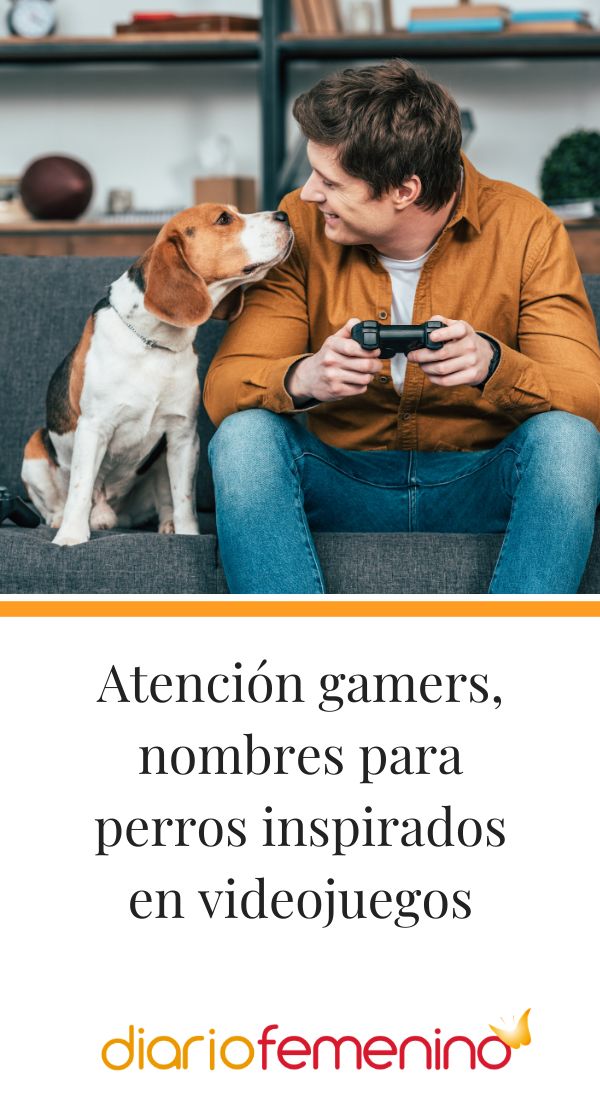 Nombres de Videojuegos para Perros