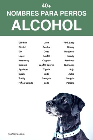 Nombres de Vinos para Perros