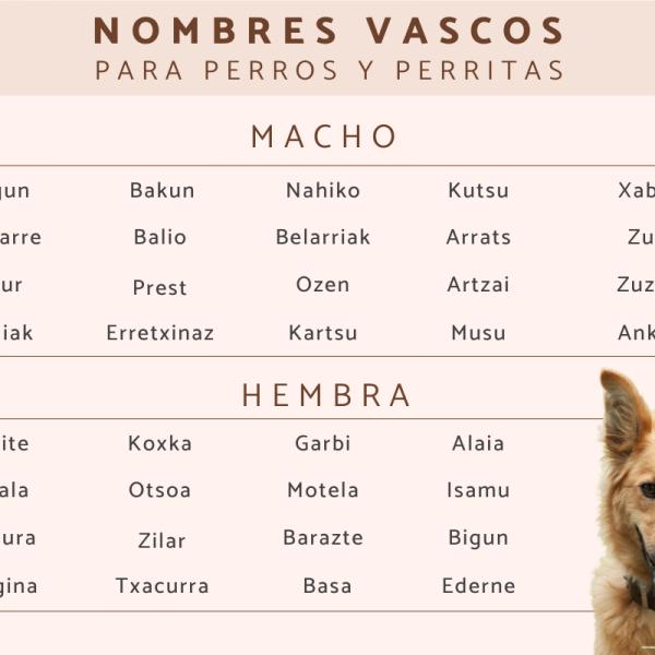 Nombres en Euskera para Gatos