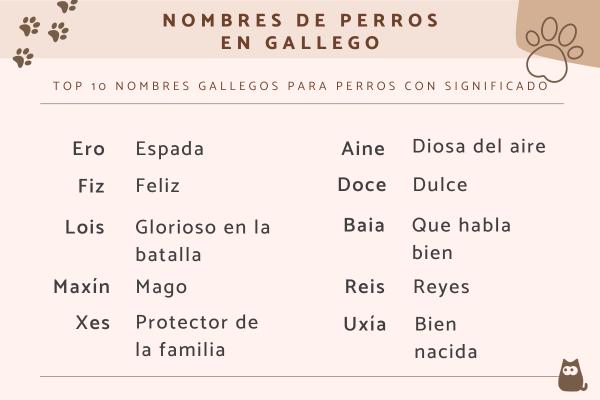 Los mejores Nombres gallegos para gatos