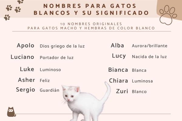 Nombres Griegos para Gatos Blancos