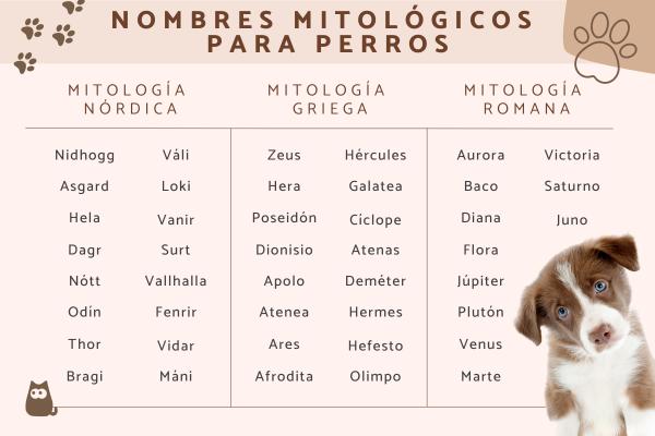 Nombres Mágicos para Perros