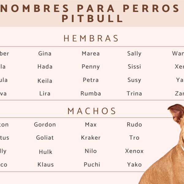 Nombres Intimidantes para Perros