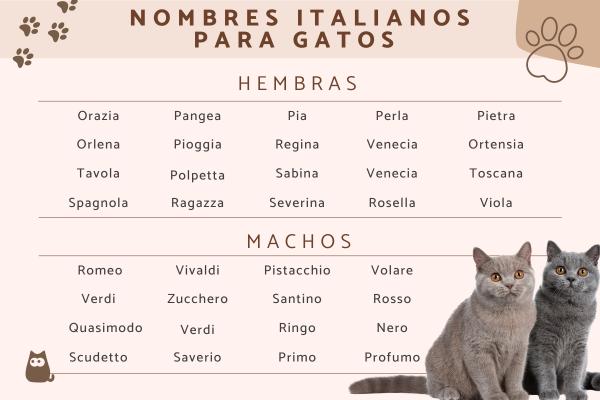 Nombres Italianos para Gatas
