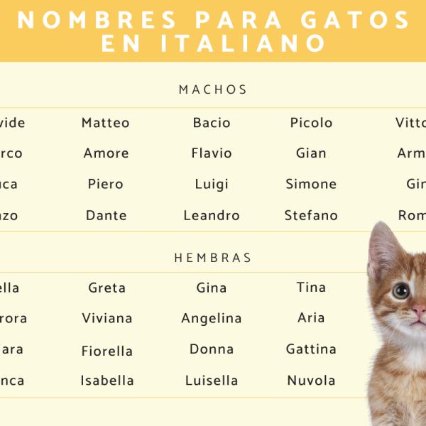 Lista de Nombres italianos para gatas