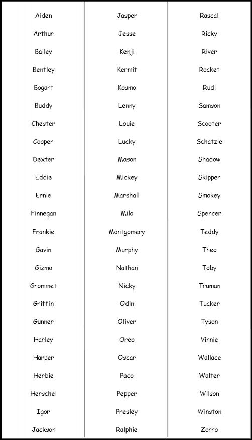 Nombres Monosil谩bos para Perros