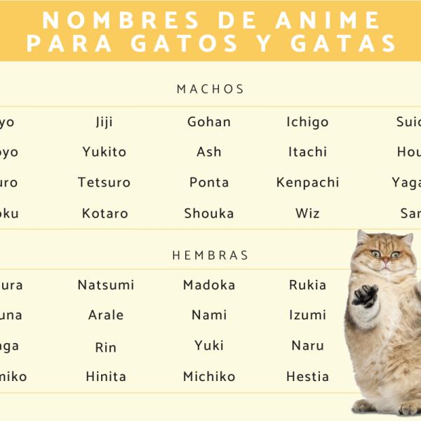 Nombres para Gatas de Anime