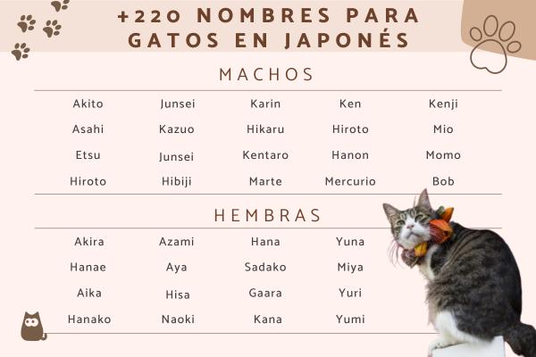 Nombres para Gatas Tricolor en Japonés